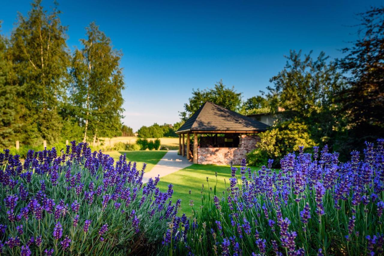 Villa Natura Zator Przeciszow Eksteriør billede